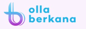 Berkana логотип
