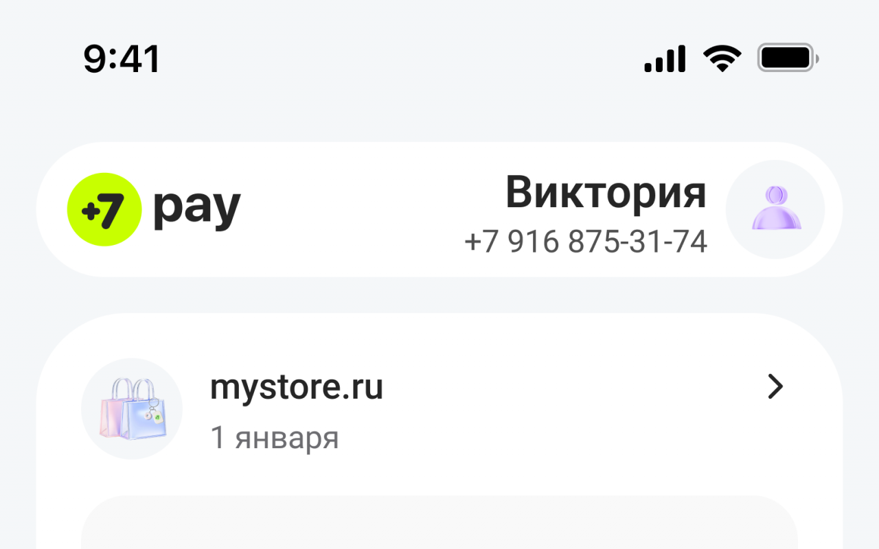 +7 pay функции